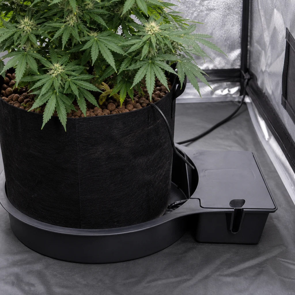 Bandeja negra Autopot con compartimento lateral tapado, bajo una maceta textil con una planta en un armario de cultivo.
