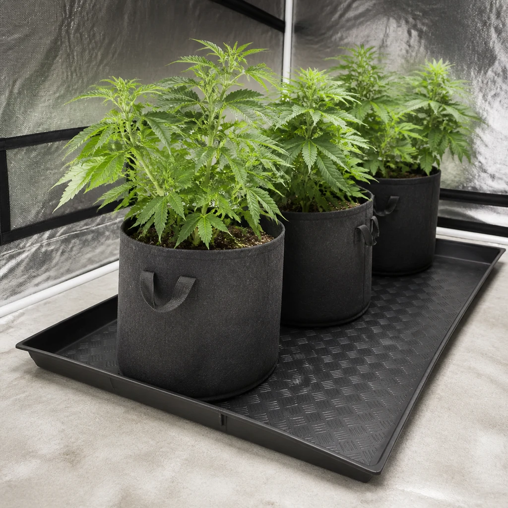 Bandeja Flexi Tray negra, rectangular y de bordes elevados, con varias macetas de tela y plantas de cannabis en un armario de cultivo. Bandeja Flexi Tray negra, rectangular y de bordes elevados, con varias macetas de tela y plantas de cannabis en un armario de cultivo.