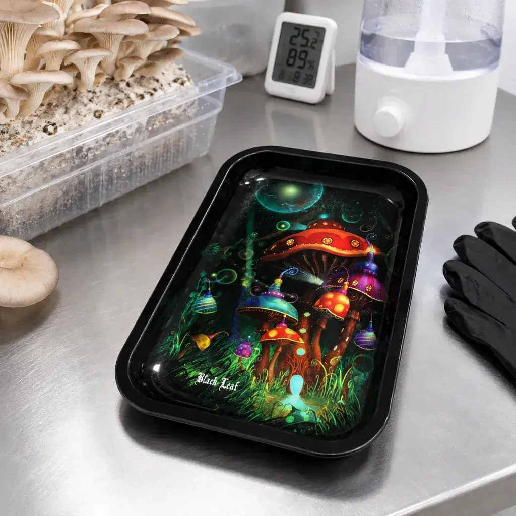 Bandeja negra con ilustración de setas multicolores sobre una mesa, junto a un cultivo de setas, un humidificador y guantes negros.