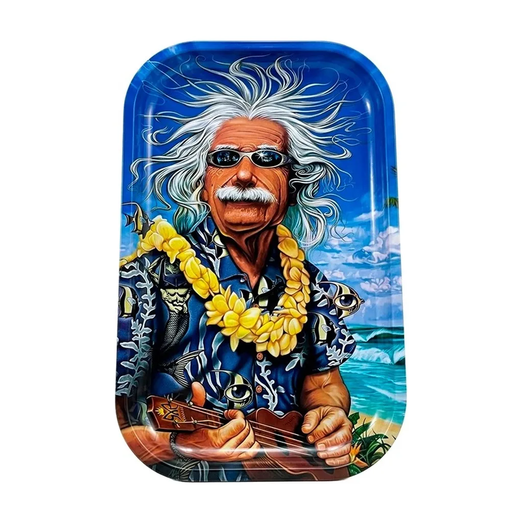 Bandeja rectangular de bordes redondeados con caricatura de Einstein con gafas de sol, collar de flores y ukelele junto al mar.