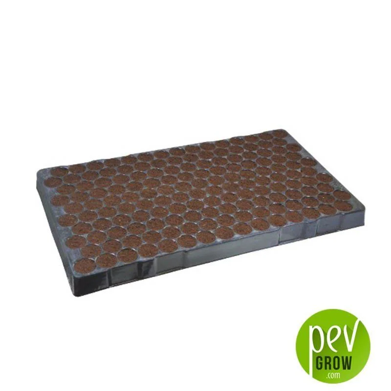 Bandeja Coconut Plugins rectangular oscura, vista en perspectiva, con varias cavidades circulares rellenas de sustrato marrón.