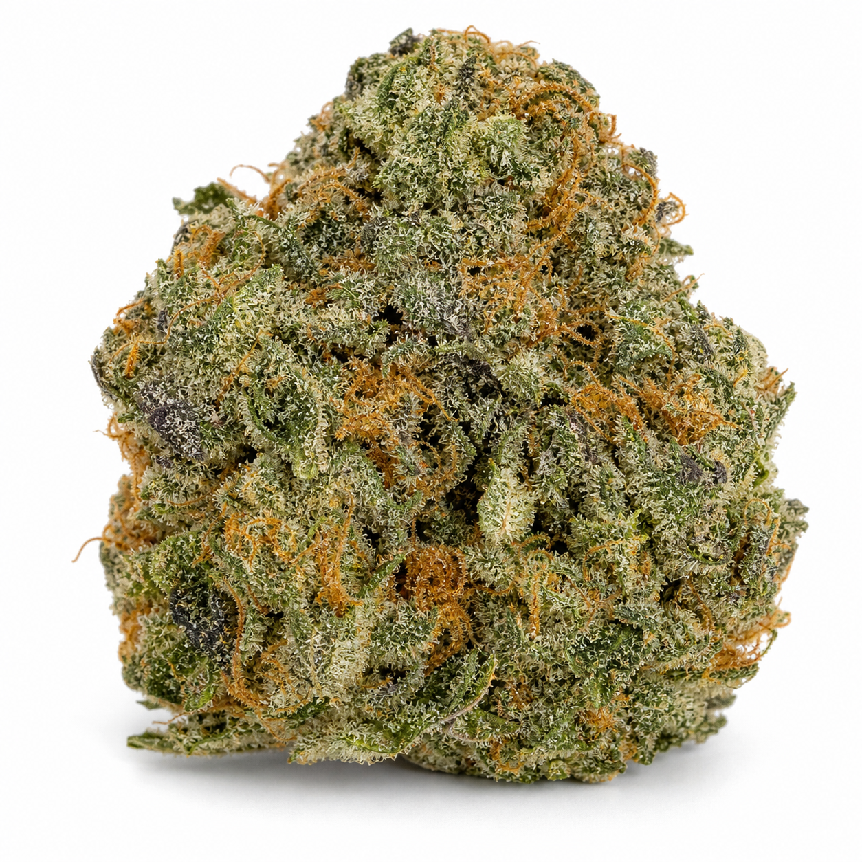 Cogollo de Bangi Haze Regular de ACE Seeds, de forma cónica, con tonos verdes, pistilos anaranjados y abundantes tricomas sobre fondo blanco.