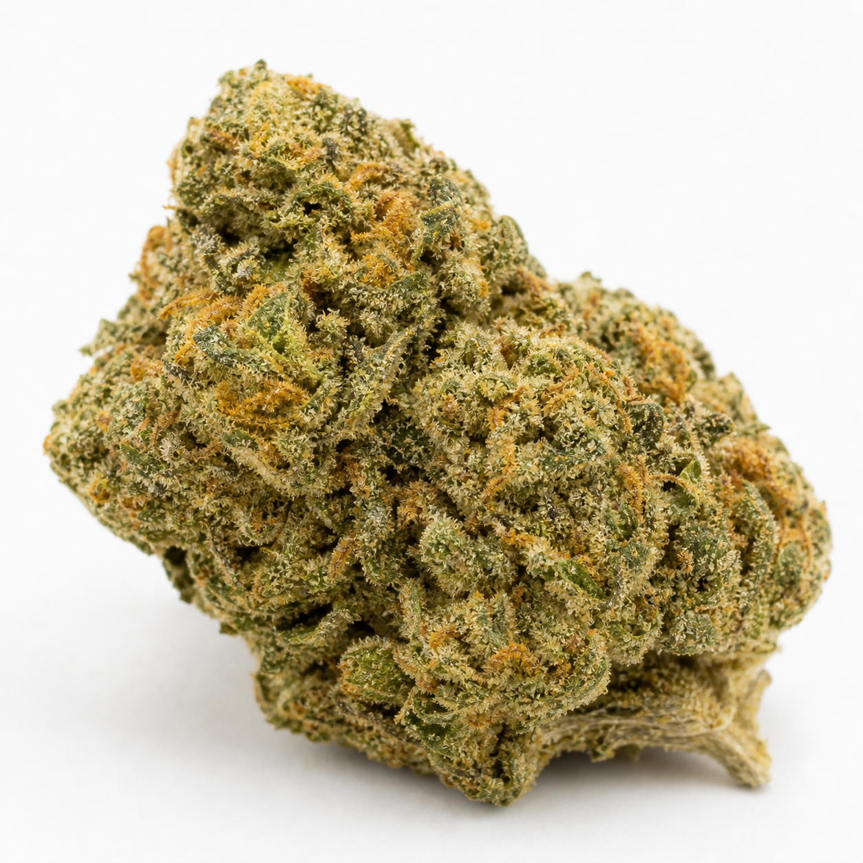 Cogollo de Big Yeti Feminizada de Seed Stockers sobre fondo blanco, de contorno compacto, con tonos verdes y filamentos anaranjados.
