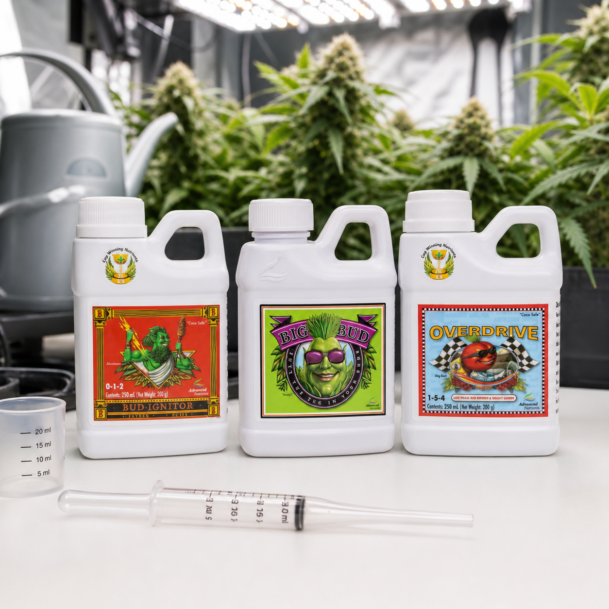 Botes de Bud Ignitor, Big Bud y Overdrive sobre una mesa con jeringa y vaso medidor, ante plantas de cannabis bajo luces de cultivo. Botes de Bud Ignitor, Big Bud y Overdrive sobre una mesa con jeringa y vaso medidor, ante plantas de cannabis bajo luces de cultivo.