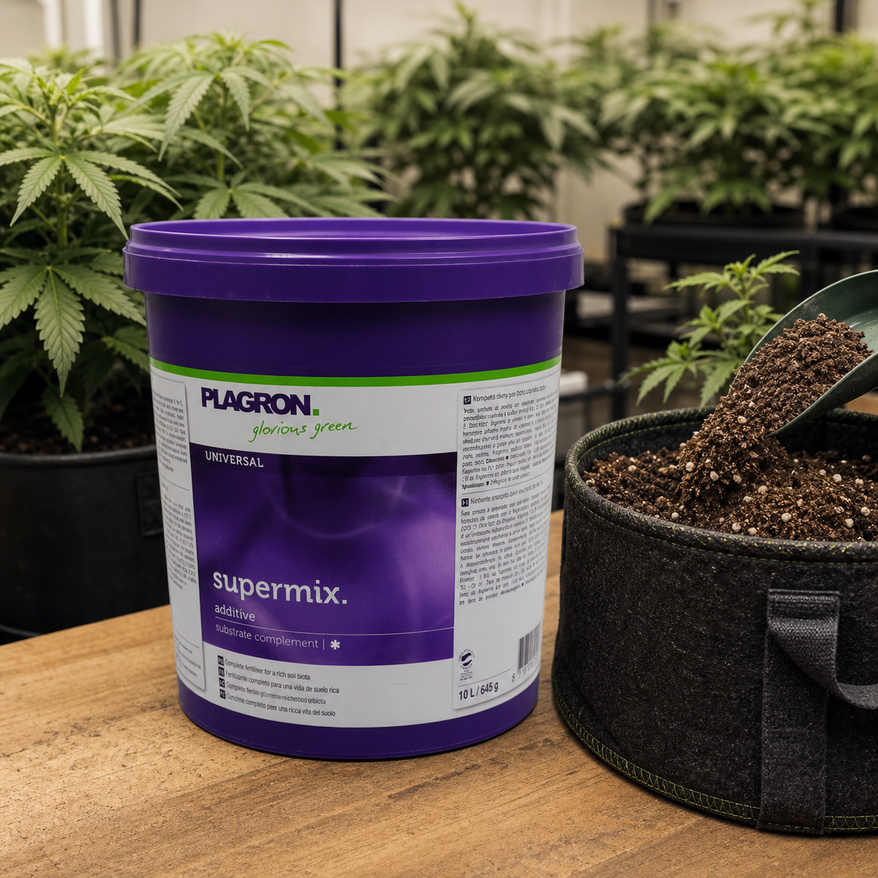 Cubo morado de Plagron Supermix junto a una maceta textil con sustrato y una pala, con plantas al fondo. Cubo morado de Plagron Supermix junto a una maceta textil con sustrato y una pala, con plantas al fondo.
