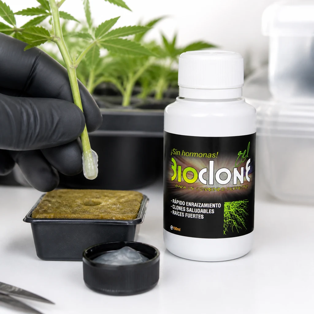 Una mano con guante sostiene un esqueje con gel en el extremo junto al bote BioClone, un bloque de sustrato y una tapa con gel.