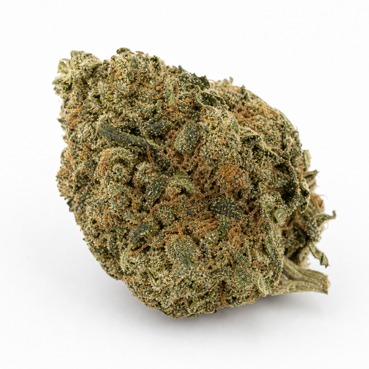 Cogollo de Black Domina Auto CBD de Spain Seeds, compacto y verde, con filamentos anaranjados y un tallo lateral sobre fondo blanco.