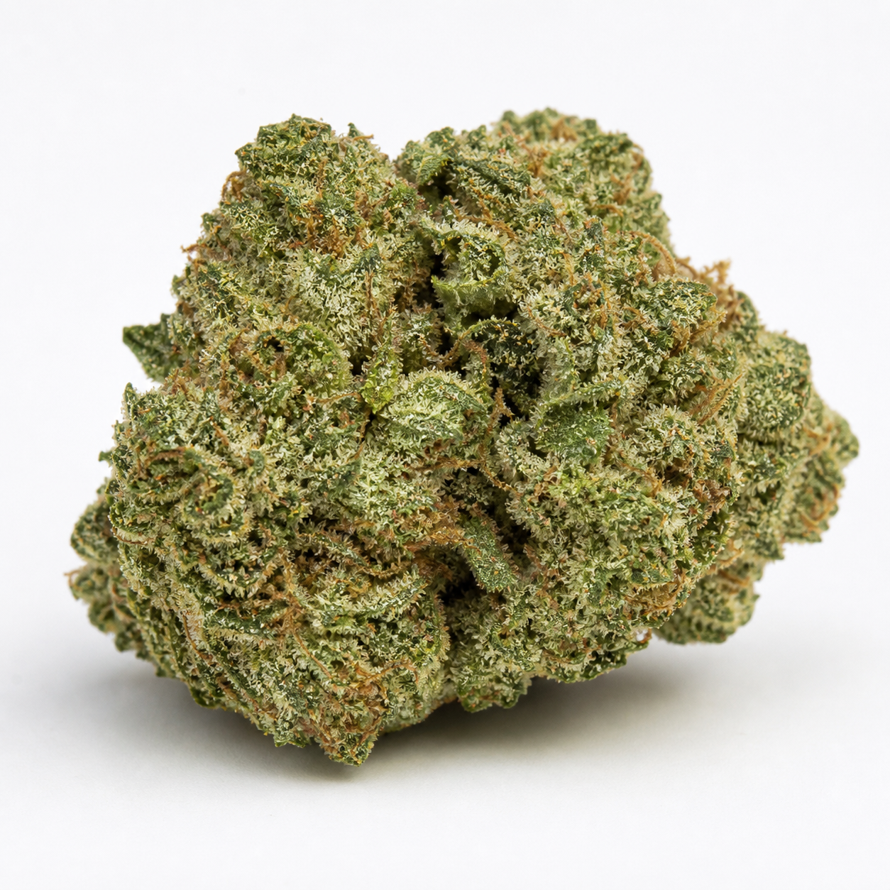 Cogollo de Bloody Skunk Auto de Sweet Seeds, de forma ancha y compacta, con tonos verdes, pistilos anaranjados y tricomas claros.