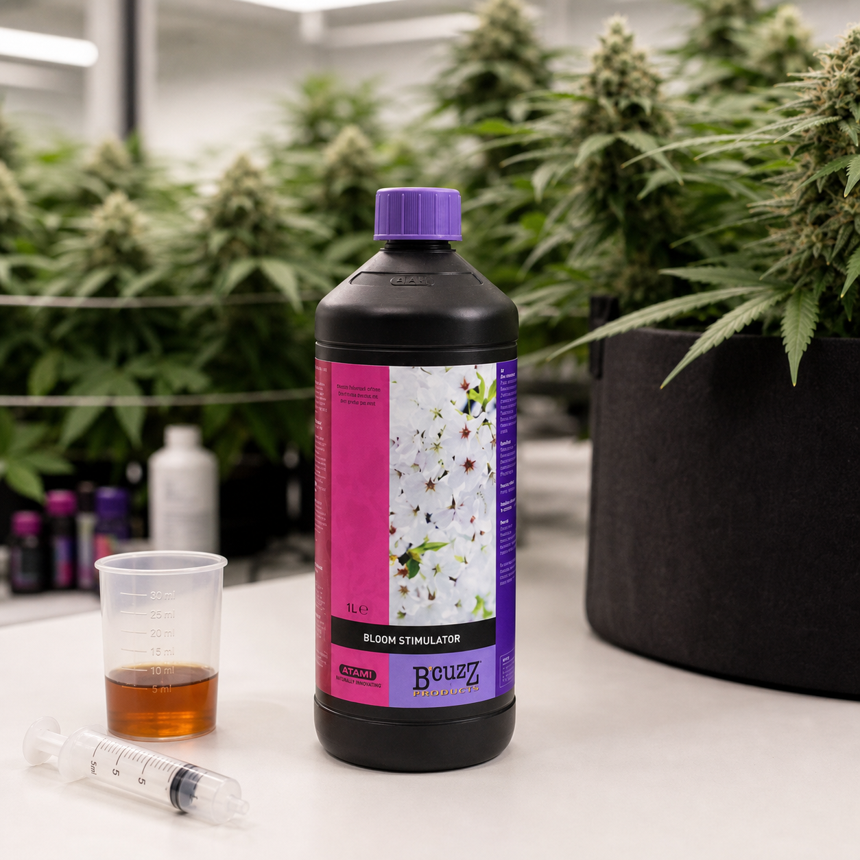 Botella B'Cuzz Bloom Stimulator de Atami con tapón morado, junto a un vaso dosificador y una jeringa, ante plantas de cannabis. Botella B'Cuzz Bloom Stimulator de Atami con tapón morado, junto a un vaso dosificador y una jeringa, ante plantas de cannabis.