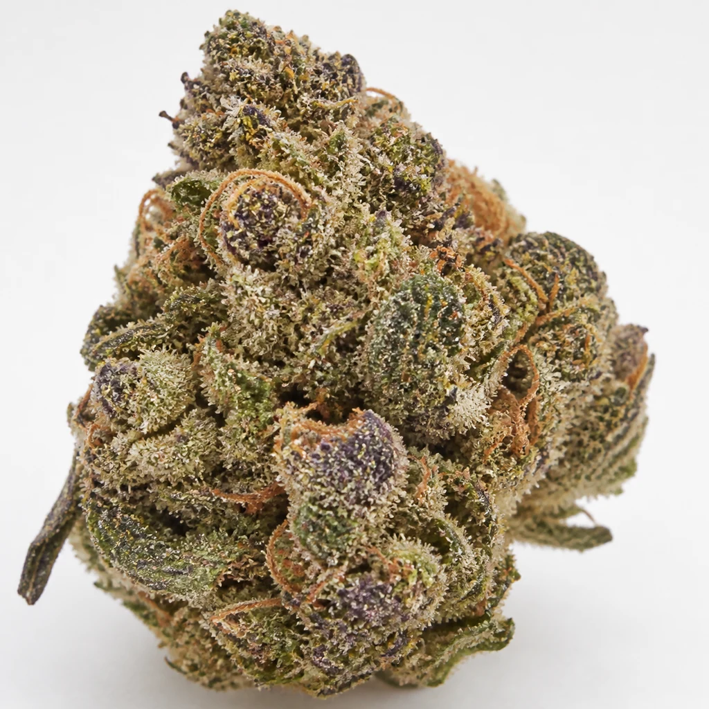 Ilustración de un cogollo para la ficha de Blue Cheese Auto de Royal Queen Seeds, con tonos verdes y morados y filamentos anaranjados.