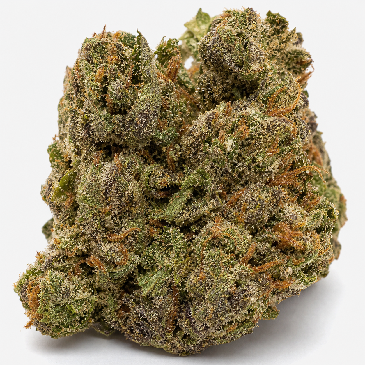 Primer plano de un cogollo de Blue Cheese de Barney's Farm, con hojas verdes y oscuras, filamentos anaranjados y abundantes tricomas.