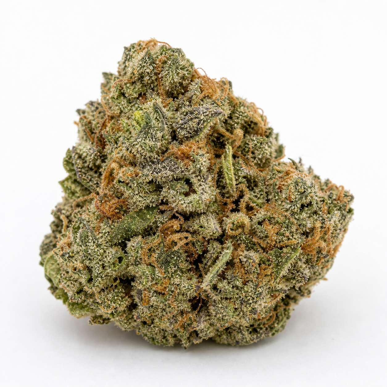 Cogollo de Blue Cheese de Expert Seeds, compacto y verde, con filamentos anaranjados y abundantes tricomas sobre fondo blanco.