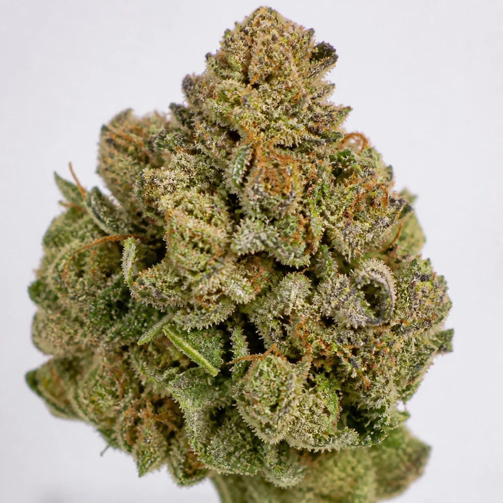 Ilustración de un cogollo verde con pistilos anaranjados y superficie escarchada para la ficha de Blue Dream Feminizada de Barney's Farm.