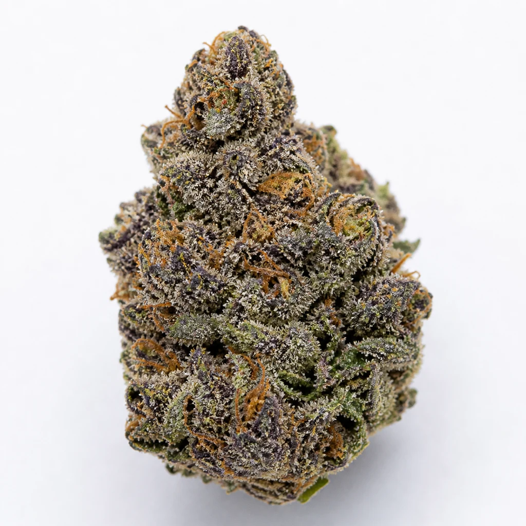 Ilustración de un cogollo verde y morado con filamentos anaranjados para la ficha de Blue Gem Feminizada de Paradise Seeds.