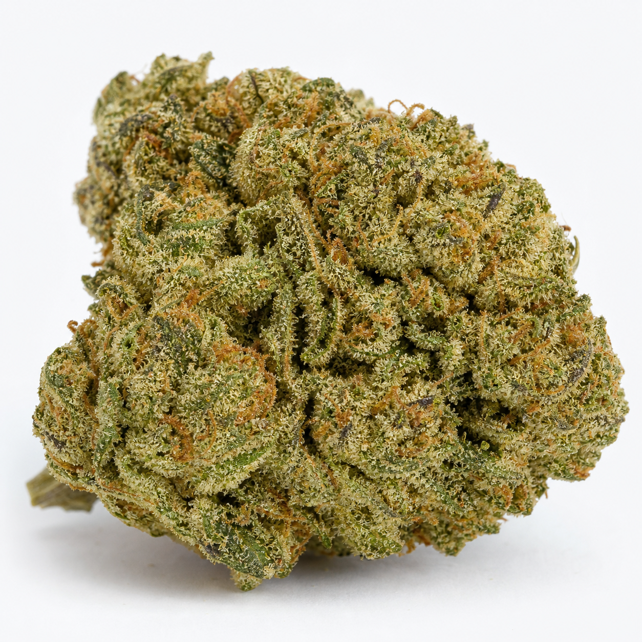 Cogollo de Blueberry Bliss Auto de Vision Seeds en primer plano, con tonos verdes, filamentos anaranjados y abundantes tricomas sobre fondo blanco.