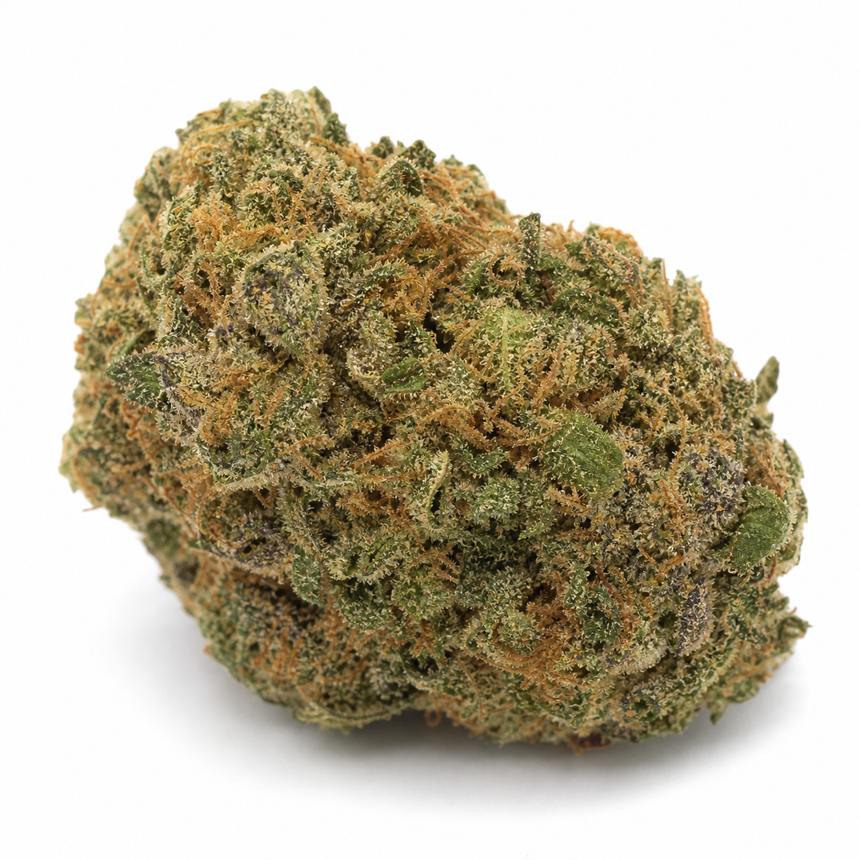 Cogollo de Blueberry Bubblegum Auto sobre fondo blanco, compacto, con hojas verdes, zonas violáceas y abundantes filamentos anaranjados.
