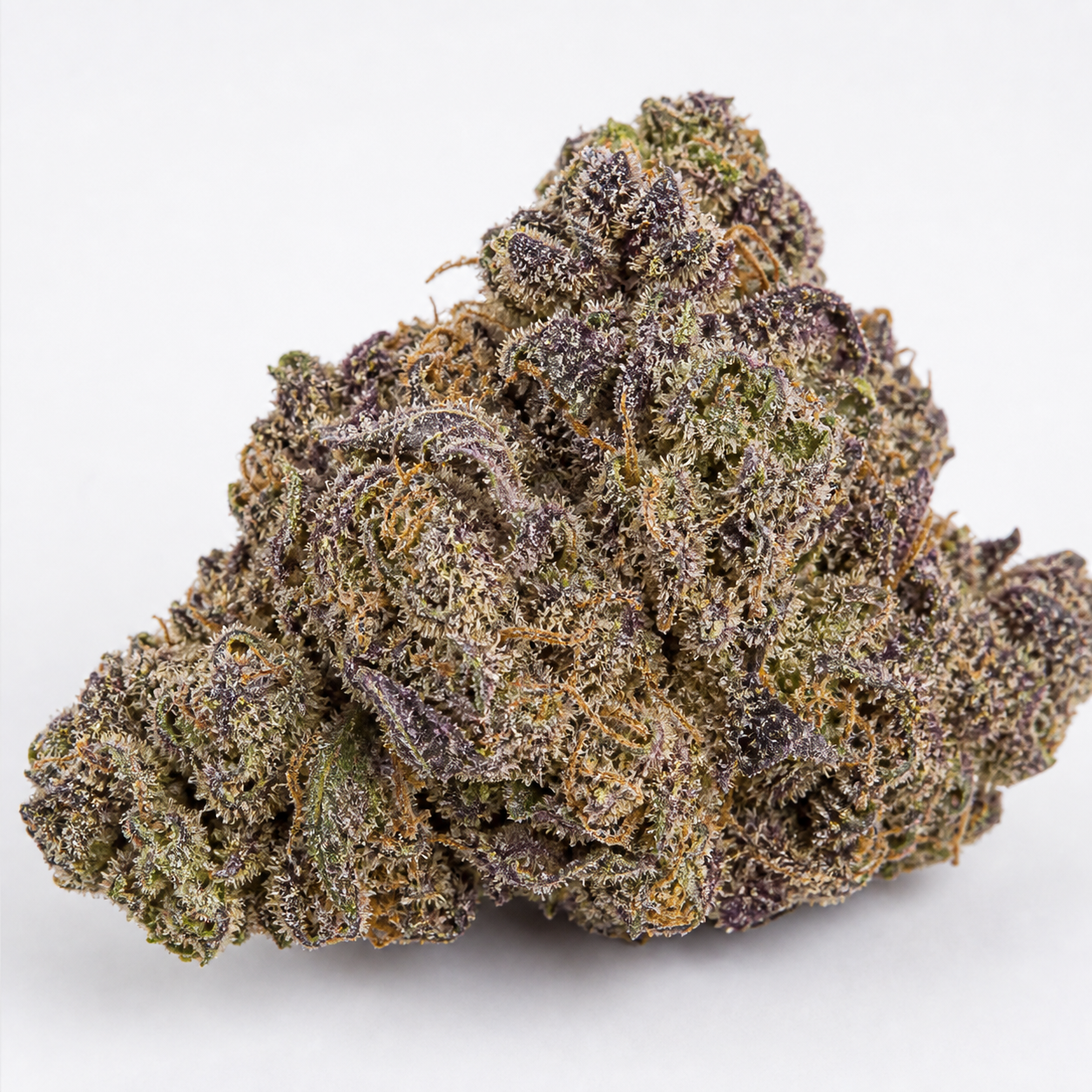 Cogollo de Blueberry Headband en primer plano, con hojas verdes y moradas, filamentos anaranjados y una densa cobertura de puntos claros.