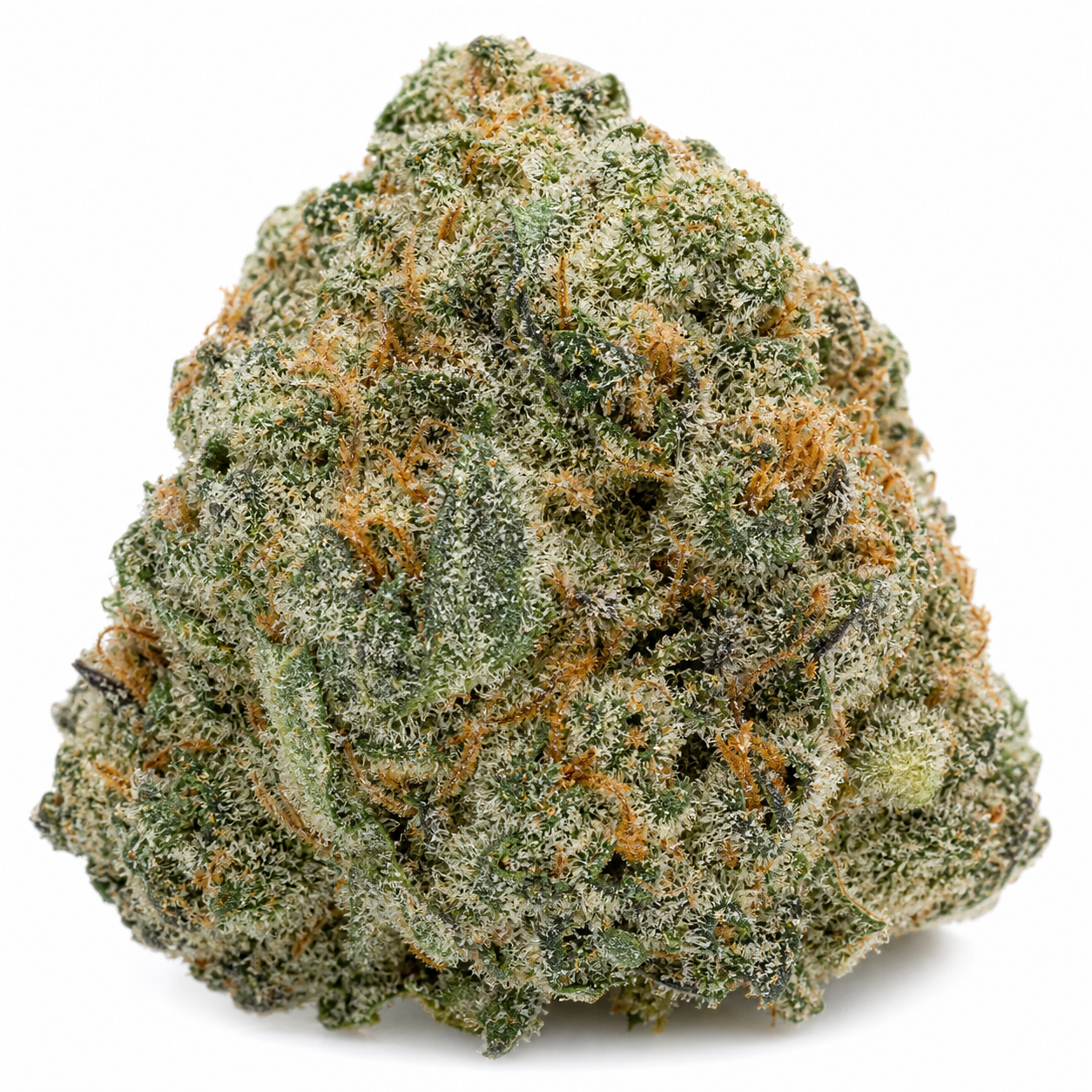Cogollo de Blueberry Feminizada de PEV Seeds sobre fondo blanco, de forma compacta, con abundantes tricomas y pistilos anaranjados.