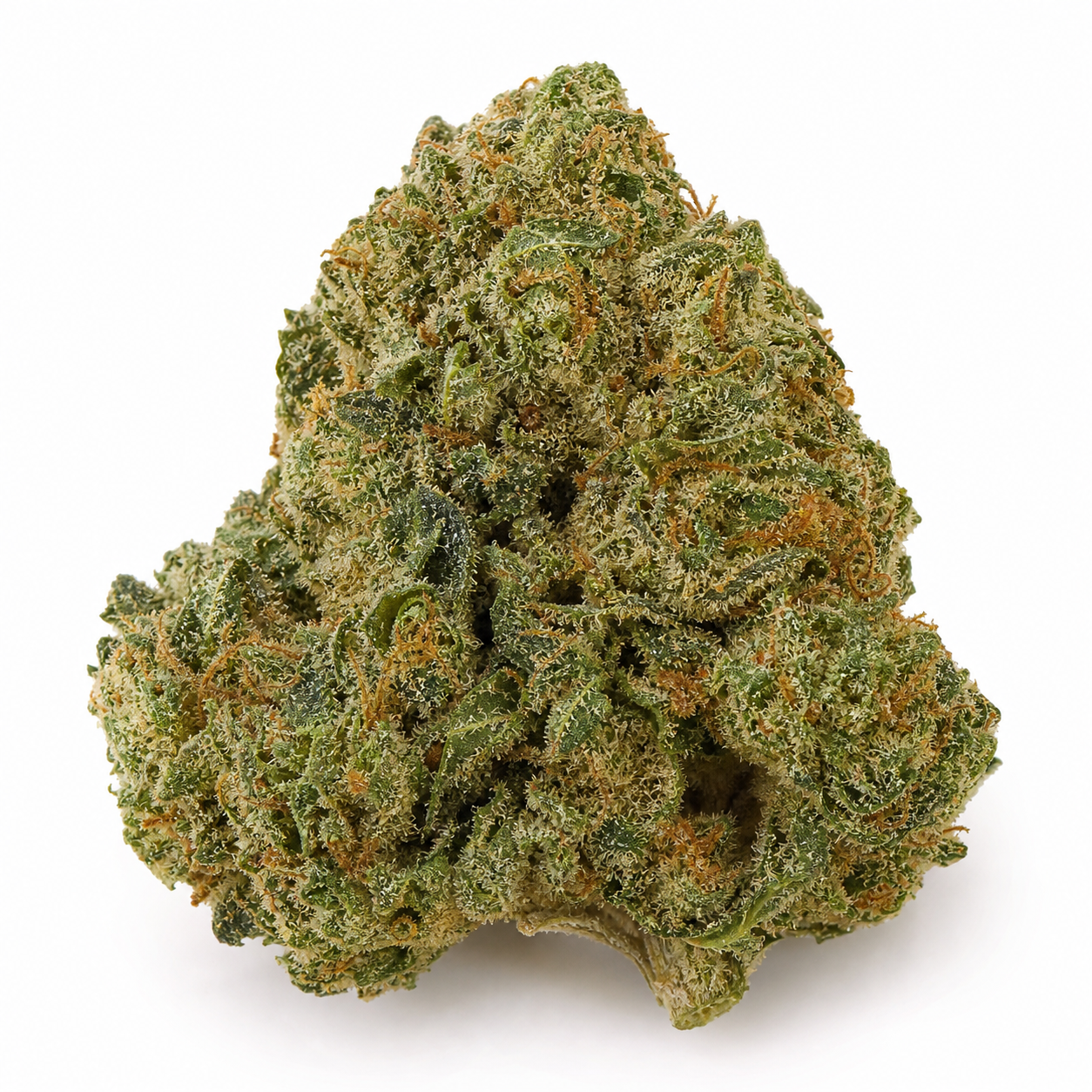 Cogollo de Bona Dea CBD+ Feminizada en primer plano, con hojas verdes, filamentos anaranjados y una cobertura de pequeños puntos claros.