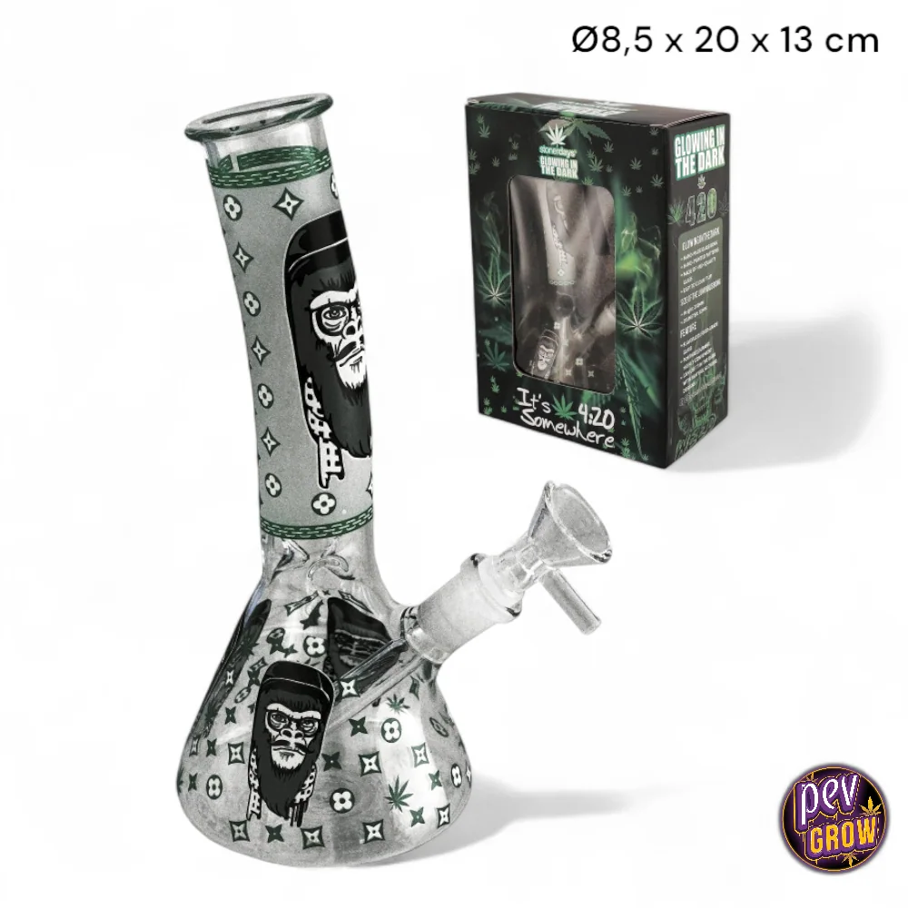 Bong Gorilla de cristal con base ancha, cazoleta lateral y dibujos de gorilas y hojas verdes, junto a su caja con ventana.