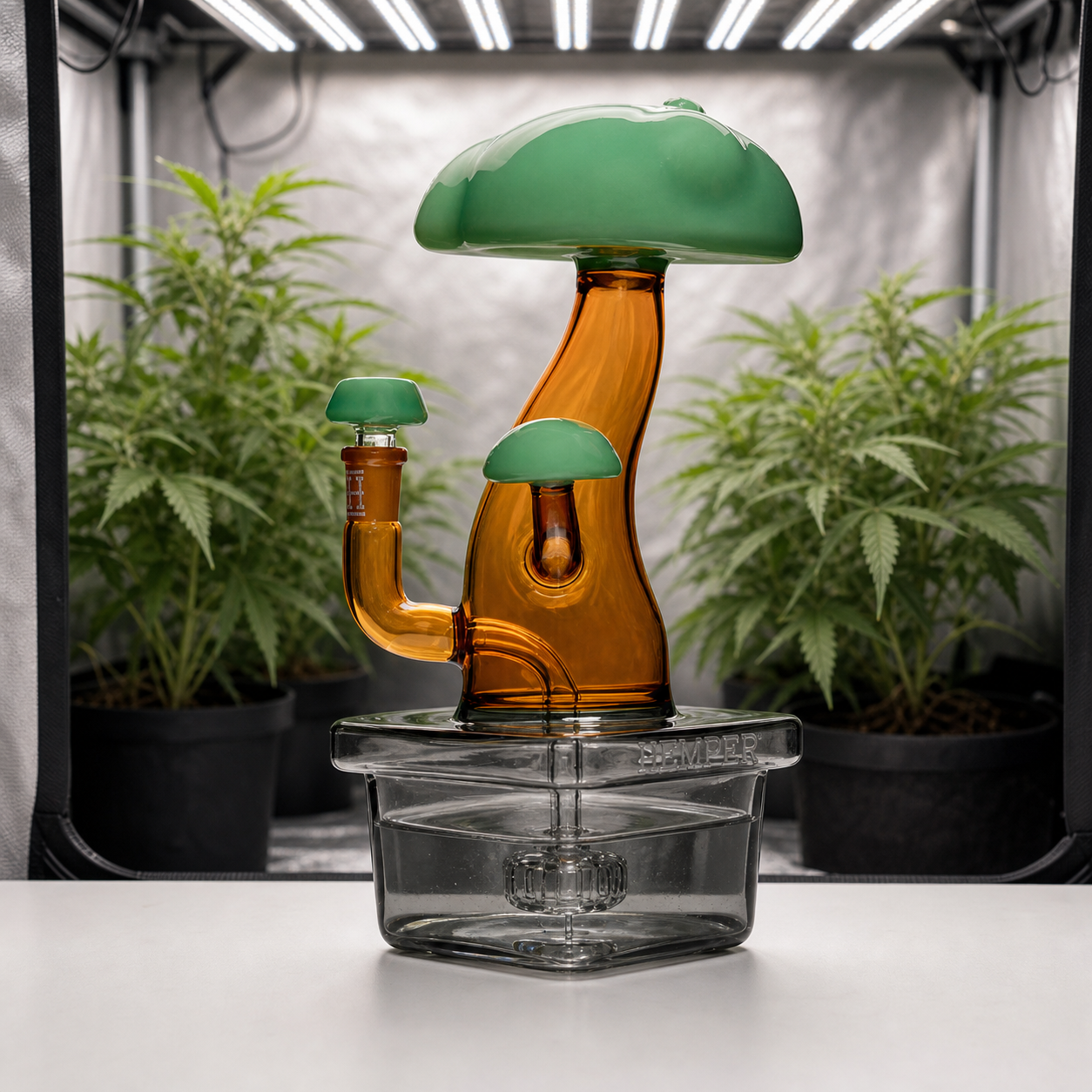 Bong de vidrio Bonsai XL con cuerpo ámbar, formas de seta verdes y base transparente con percolador, ante plantas bajo luces de cultivo.