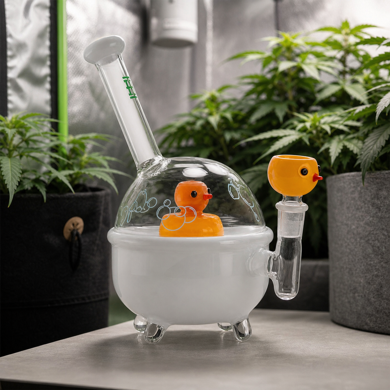 Bong Hemper Ducky XL con cuerpo de bañera blanca, cúpula transparente y detalles de patos amarillos, ante plantas de cannabis.
