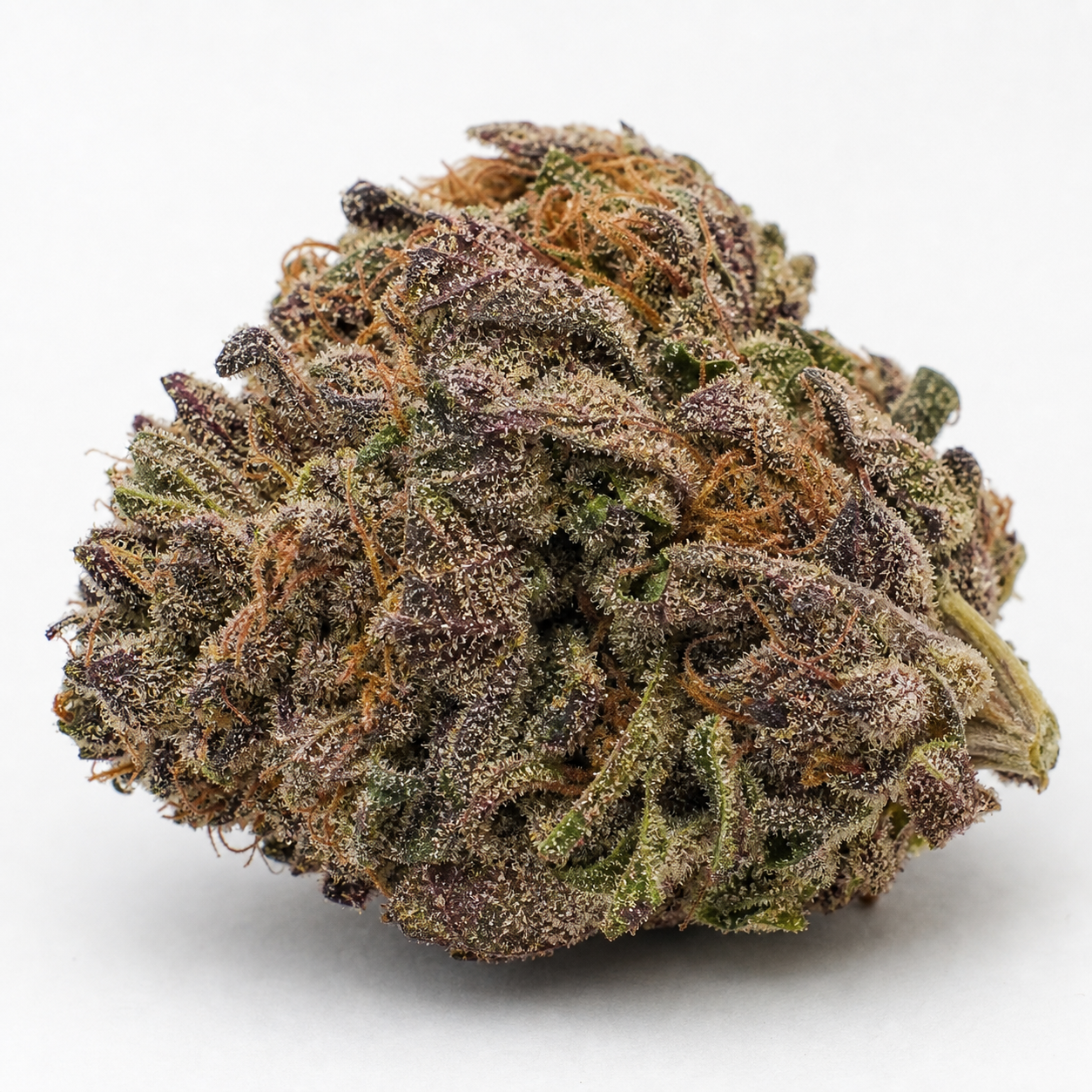 Primer plano de un cogollo de Bubble Kush Automatic, con hojas verdes y moradas, filamentos anaranjados y abundantes tricomas.