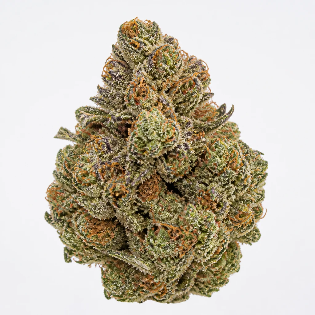Ilustración de un cogollo verde con pistilos anaranjados y abundantes tricomas para la ficha de Bubblegum Gelato Feminizada de Barney's Farm.