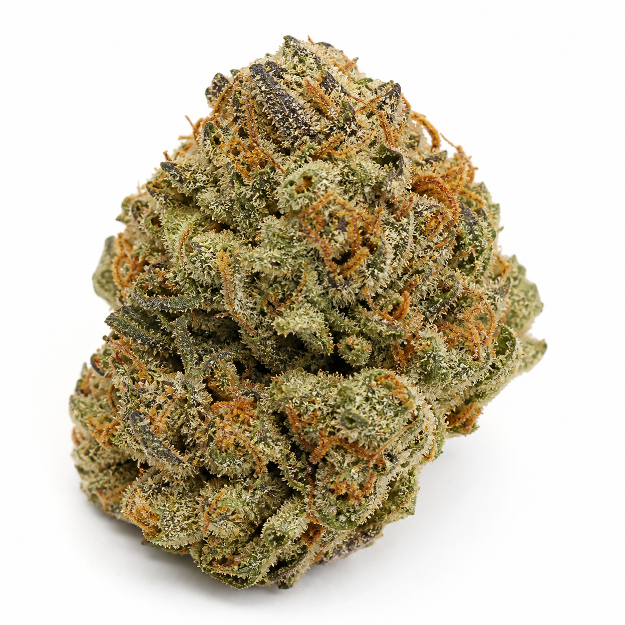 Primer plano de un cogollo de Bubblegum de TH Seeds, con hojas verdes oscuras, filamentos anaranjados y abundante recubrimiento blanquecino.