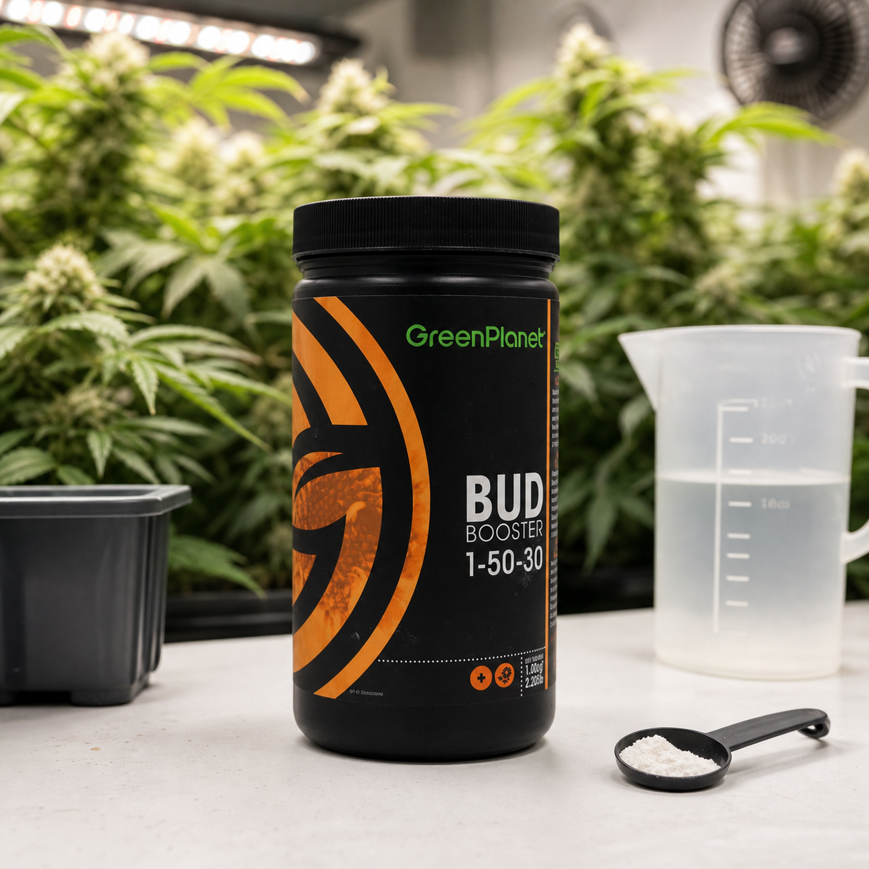 Bote negro de Bud Booster GreenPlanet con etiqueta 1-50-30, junto a una jarra graduada y una cuchara con polvo blanco, ante plantas. Bote negro de Bud Booster GreenPlanet con etiqueta 1-50-30, junto a una jarra graduada y una cuchara con polvo blanco, ante plantas.