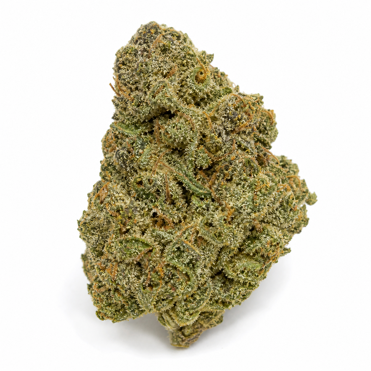 Cogollo de Candy Bubatz XL Feminizada de Dutch Passion, alargado e irregular, con tonos verdes y filamentos anaranjados sobre fondo blanco.