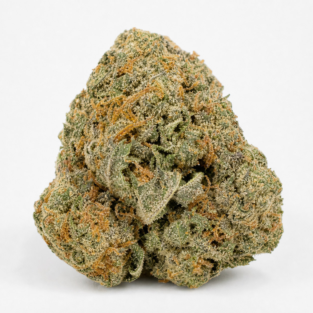Cogollo de Candy Kush Express en primer plano, con hojas verdes, pistilos anaranjados y abundantes tricomas claros sobre fondo blanco.
