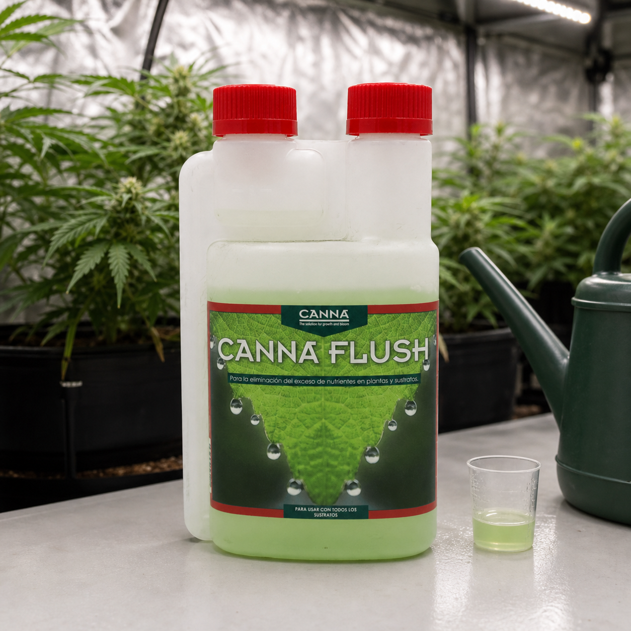 Envase de Canna Flush con etiqueta verde y tapones rojos, junto a un vaso dosificador y una regadera, con plantas al fondo. Envase de Canna Flush con etiqueta verde y tapones rojos, junto a un vaso dosificador y una regadera, con plantas al fondo.