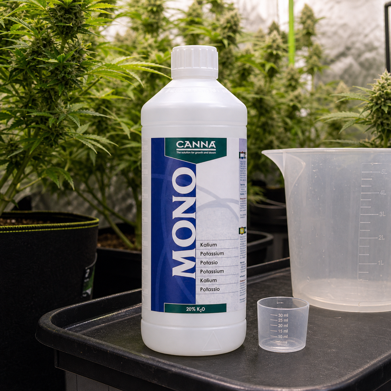 Botella blanca de Canna Mono Potasio con etiqueta de 20% K₂O, junto a una jarra y un vaso graduados, con plantas al fondo. Botella blanca de Canna Mono Potasio con etiqueta de 20% K₂O, junto a una jarra y un vaso graduados, con plantas al fondo.