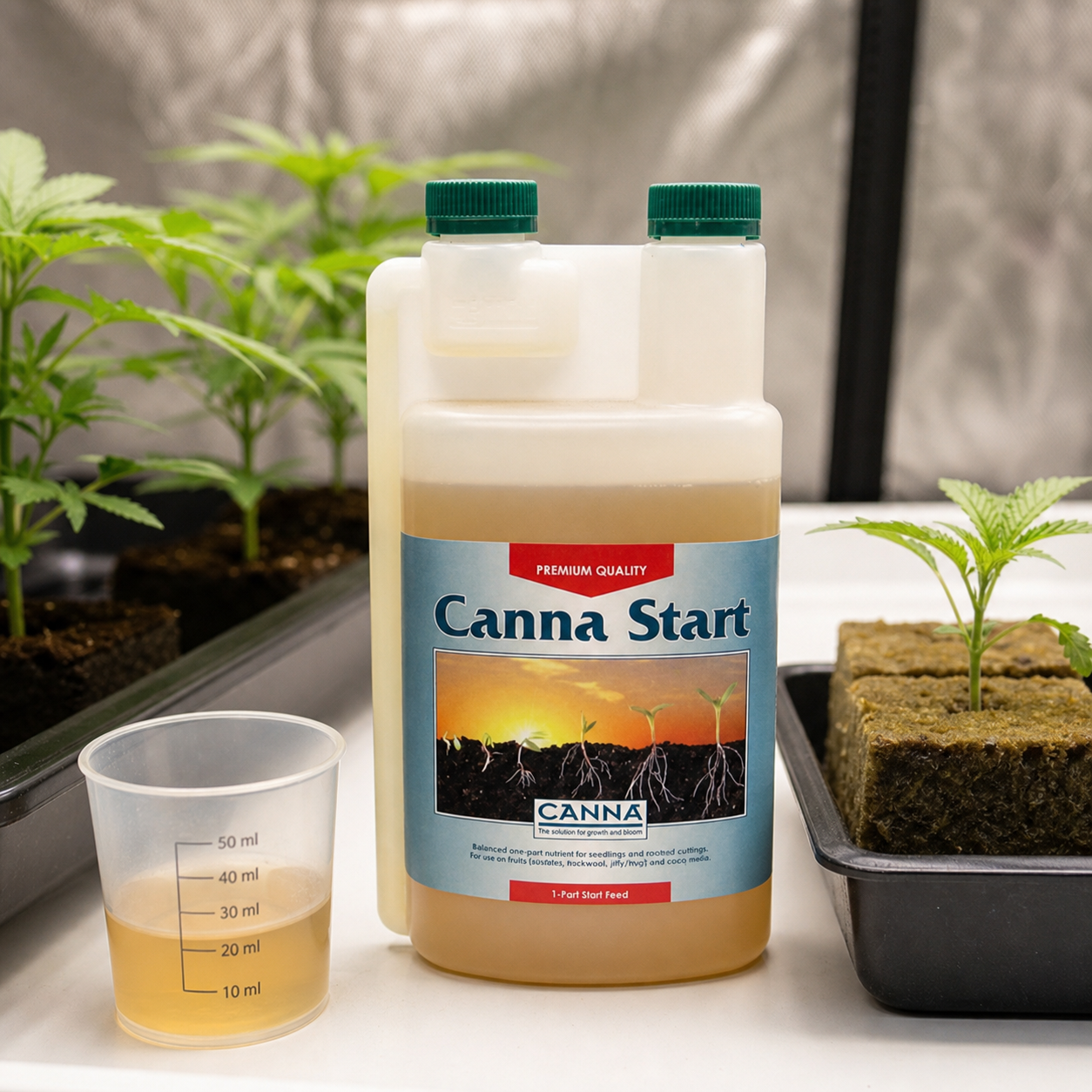 Botella de Canna Start con tapones verdes junto a un vaso dosificador con líquido y plantas jóvenes en bandejas de cultivo. Botella de Canna Start con tapones verdes junto a un vaso dosificador con líquido y plantas jóvenes en bandejas de cultivo.