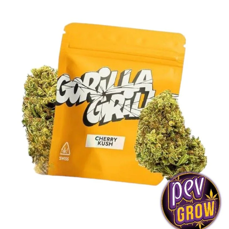 Bolsa amarilla Gorilla Grill con etiqueta Cherry Kush, flanqueada por cogollos sobre fondo blanco.