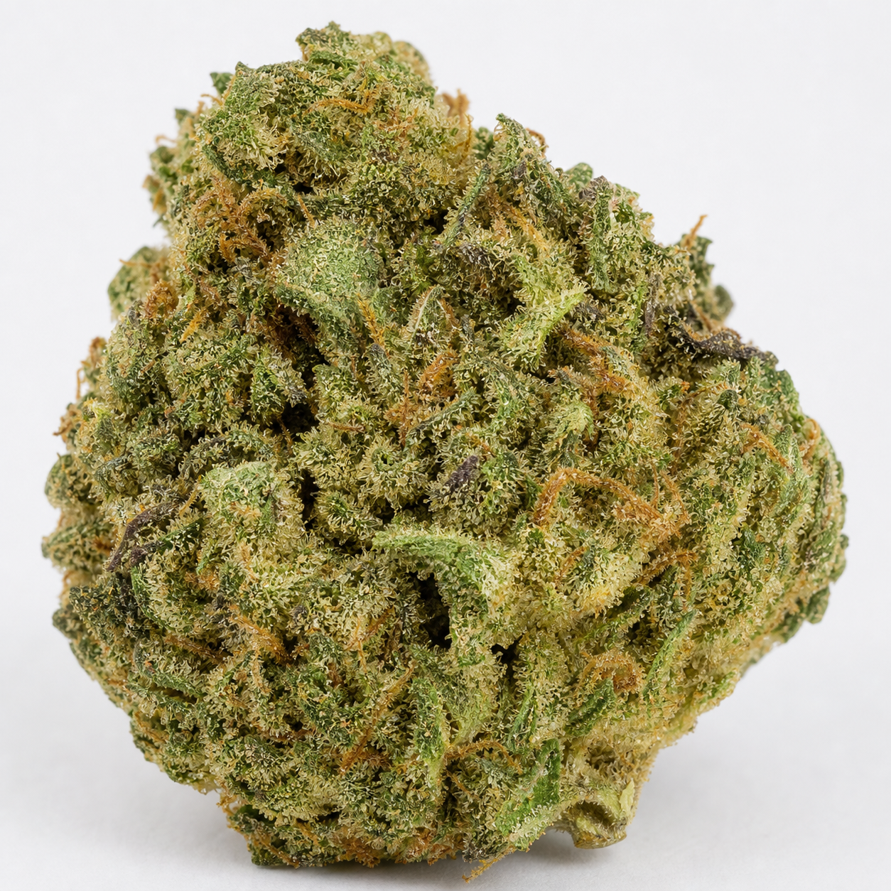Primer plano de un cogollo de CBD + Critical 47, compacto y verde, con filamentos anaranjados y pequeños puntos claros.