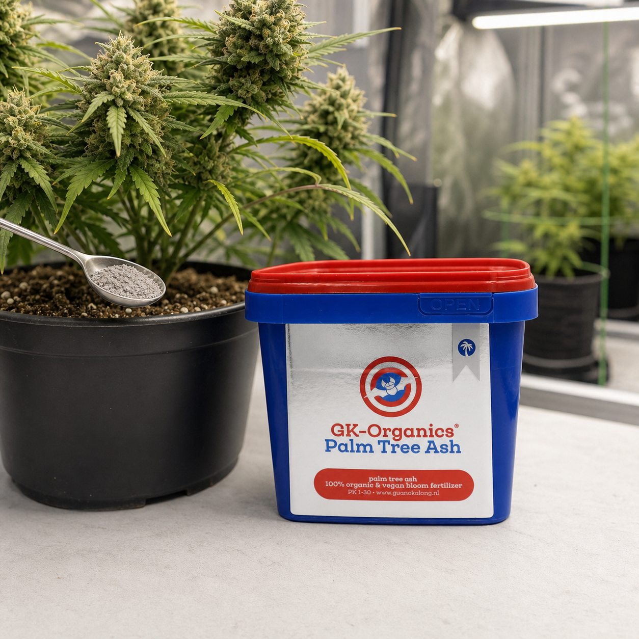 Envase azul con tapa roja de GK-Organics Ceniza de Palma junto a una planta de cannabis en maceta y una cuchara con polvo gris.