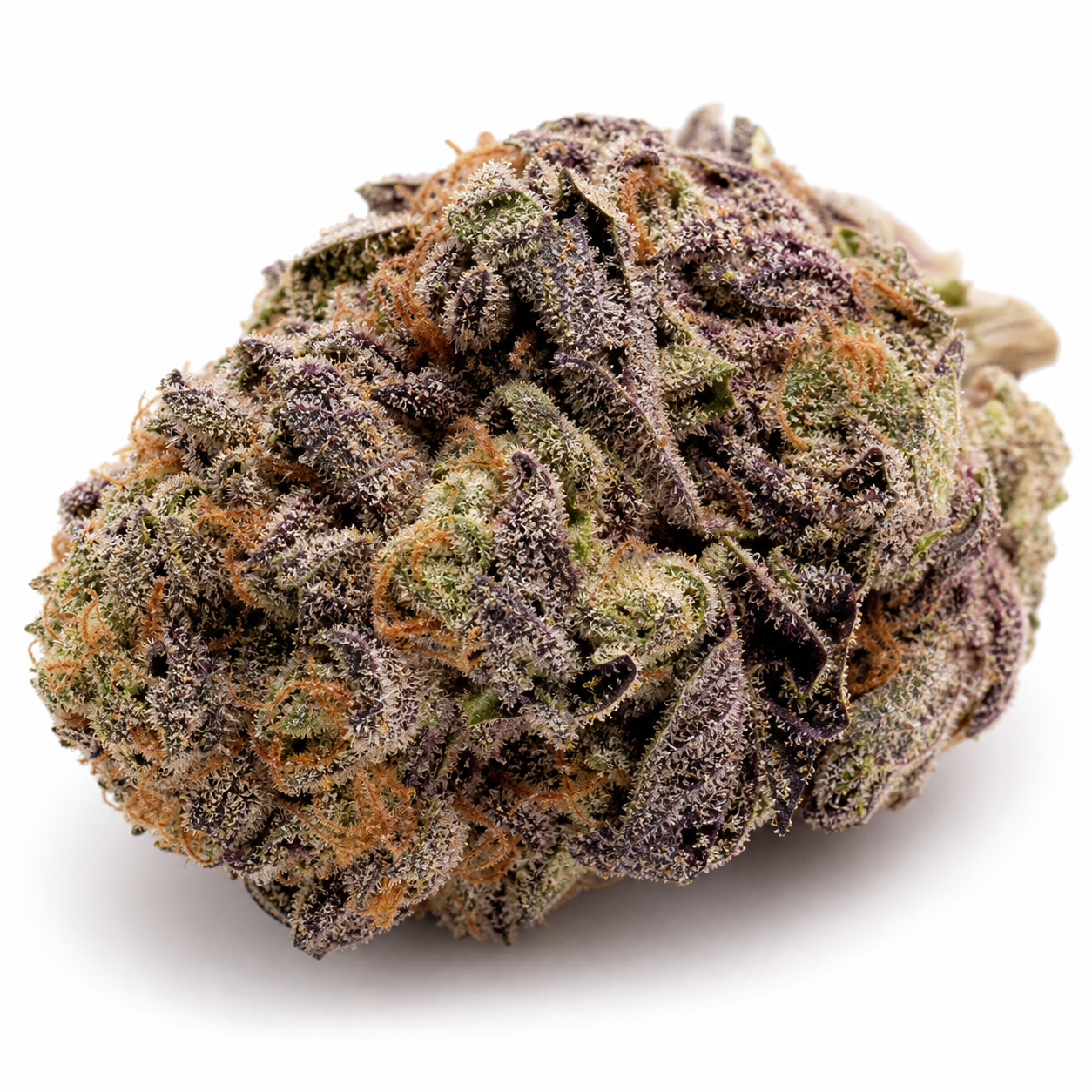 Cogollo de Cocopopo Auto de Bulk Seeds en primer plano, con hojas verdes y moradas, filamentos anaranjados y abundantes tricomas.