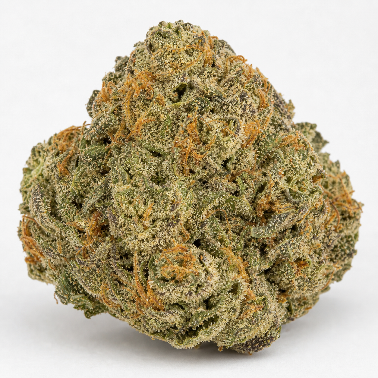 Cogollo de Cinderella Auto de Fast Buds en primer plano, compacto y verde, con filamentos anaranjados y abundantes puntos claros sobre fondo blanco.