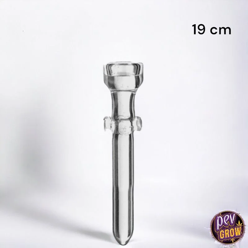 Clavo transparente para extracciones, mostrado en vertical, con copa superior ensanchada, salientes laterales y extremo redondeado.