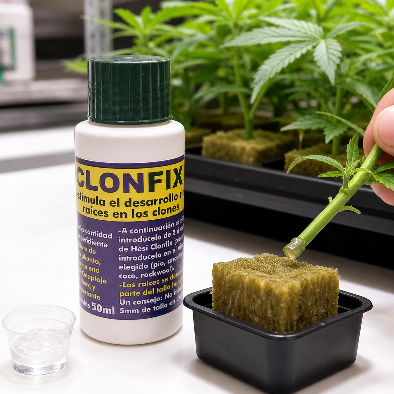 Bote de Hesi Clon Fix junto a un esqueje sostenido sobre un cubo de sustrato, con gel visible en el extremo cortado del tallo. Bote de Hesi Clon Fix junto a un esqueje sostenido sobre un cubo de sustrato, con gel visible en el extremo cortado del tallo.