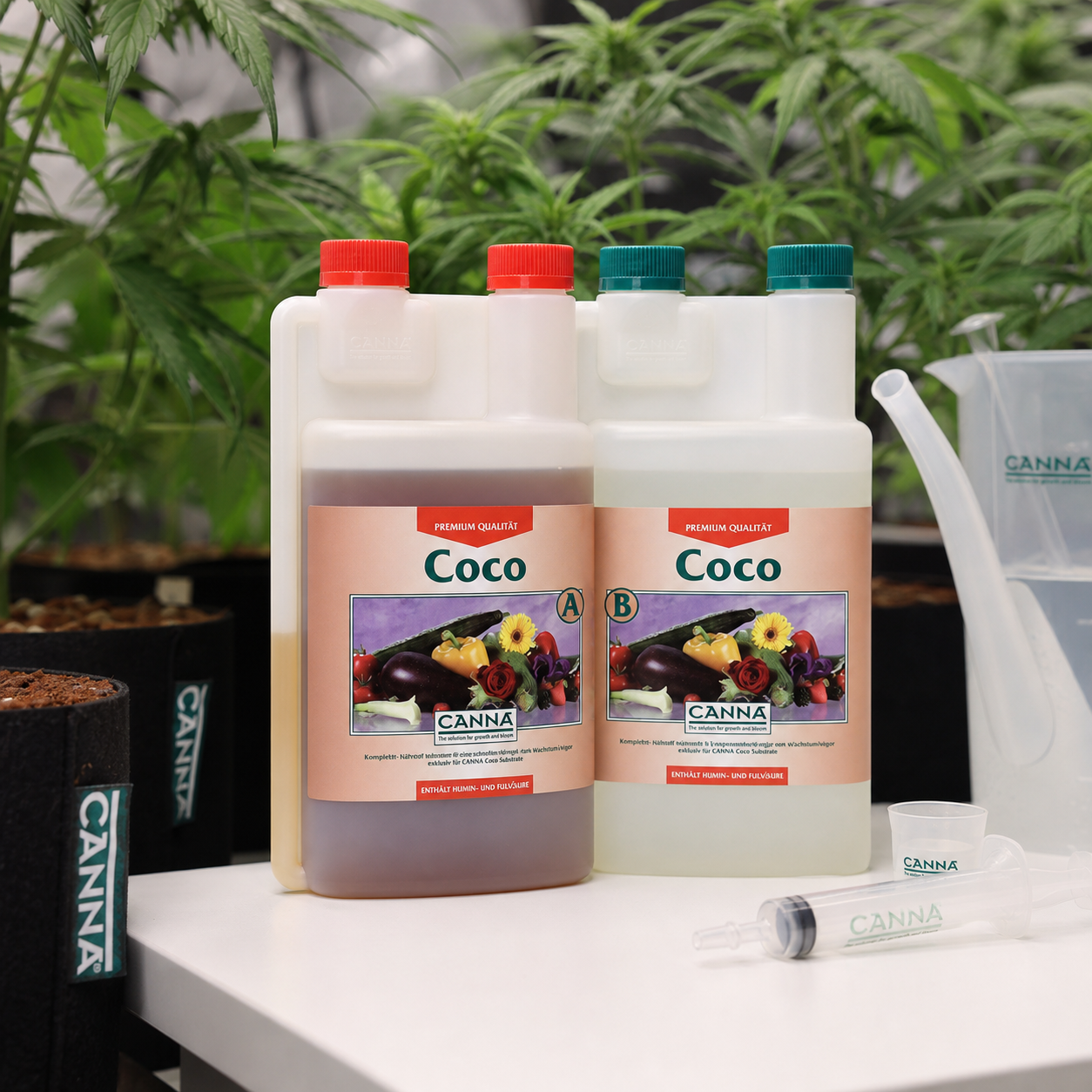 Envases Canna Coco A y B sobre una mesa, con jeringa y recipientes de medición junto a plantas en macetas. Envases Canna Coco A y B sobre una mesa, con jeringa y recipientes de medición junto a plantas en macetas.