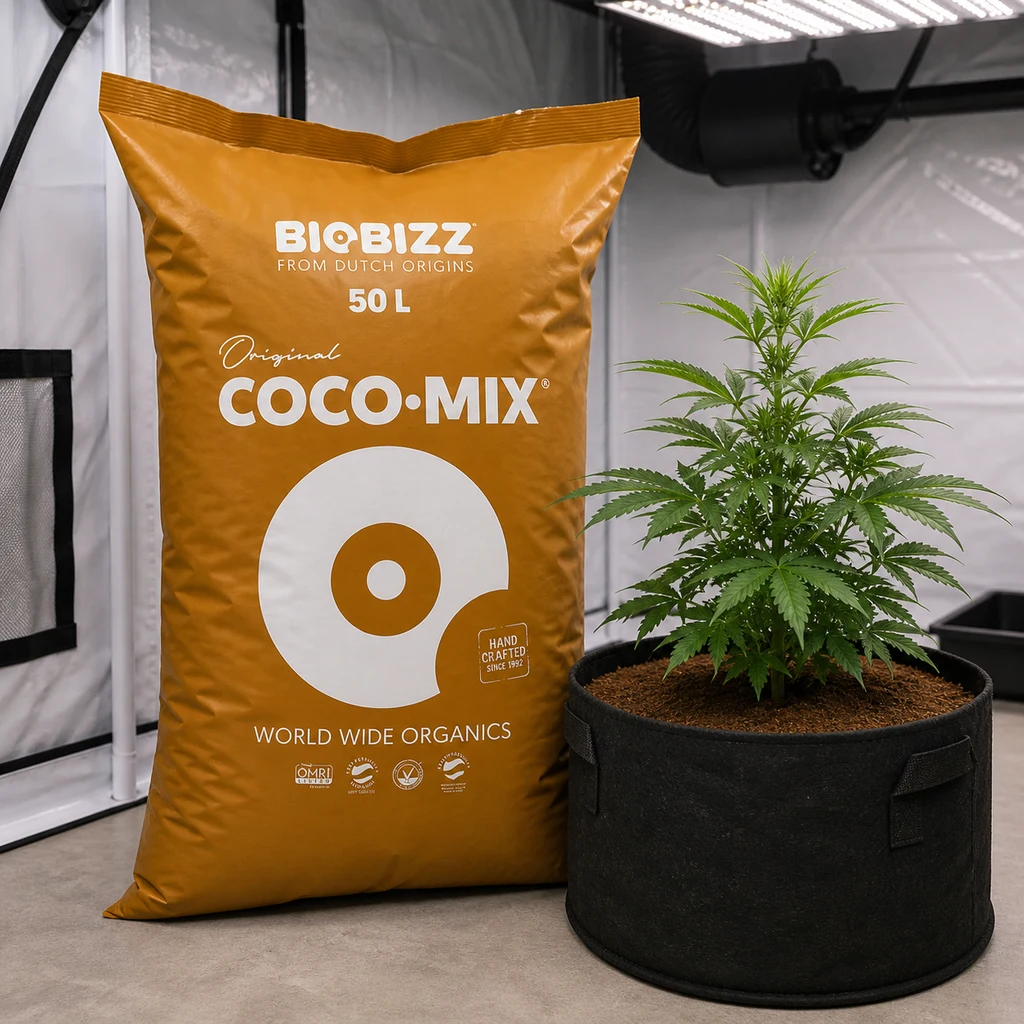 Saco ocre de Biobizz Coco Mix de 50 L junto a una planta de cannabis en maceta negra, dentro de un armario de cultivo iluminado. Saco ocre de Biobizz Coco Mix de 50 L junto a una planta de cannabis en maceta negra, dentro de un armario de cultivo iluminado.