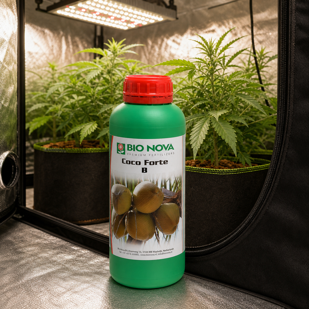 Botella verde de Bio Nova con tapón rojo y etiqueta Coco Forte B, delante de plantas en macetas bajo un panel de luz.