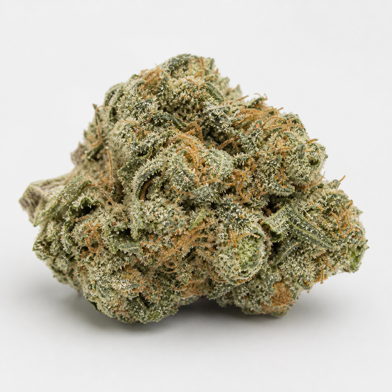 Cogollo de Cookies Gelato Auto de Royal Queen Seeds en primer plano, verde y cubierto de tricomas claros y filamentos anaranjados.