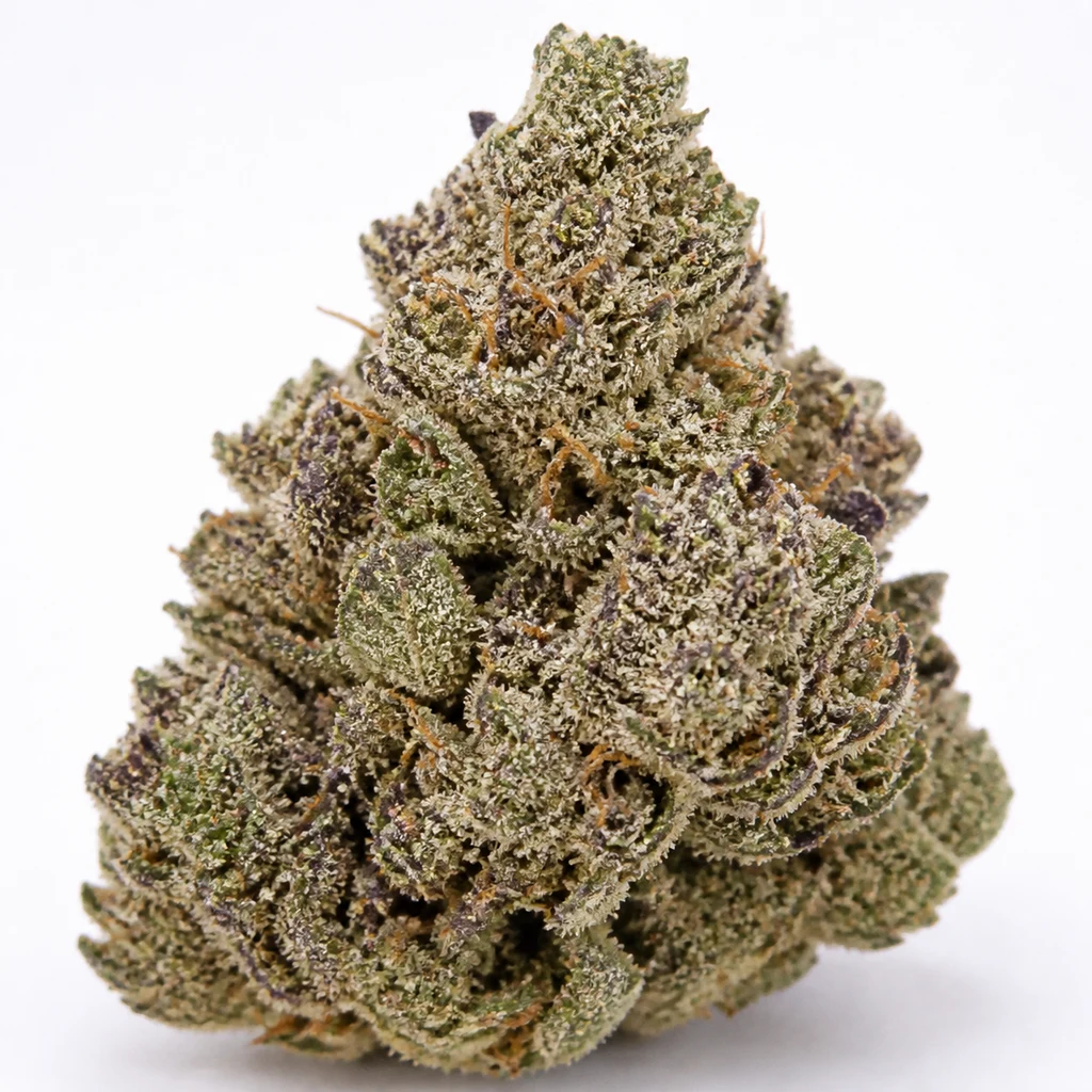 Ilustración de un cogollo verde y morado con superficie escarchada para la ficha de Cookies Purple Punch Feminizada de Medical Seeds.
