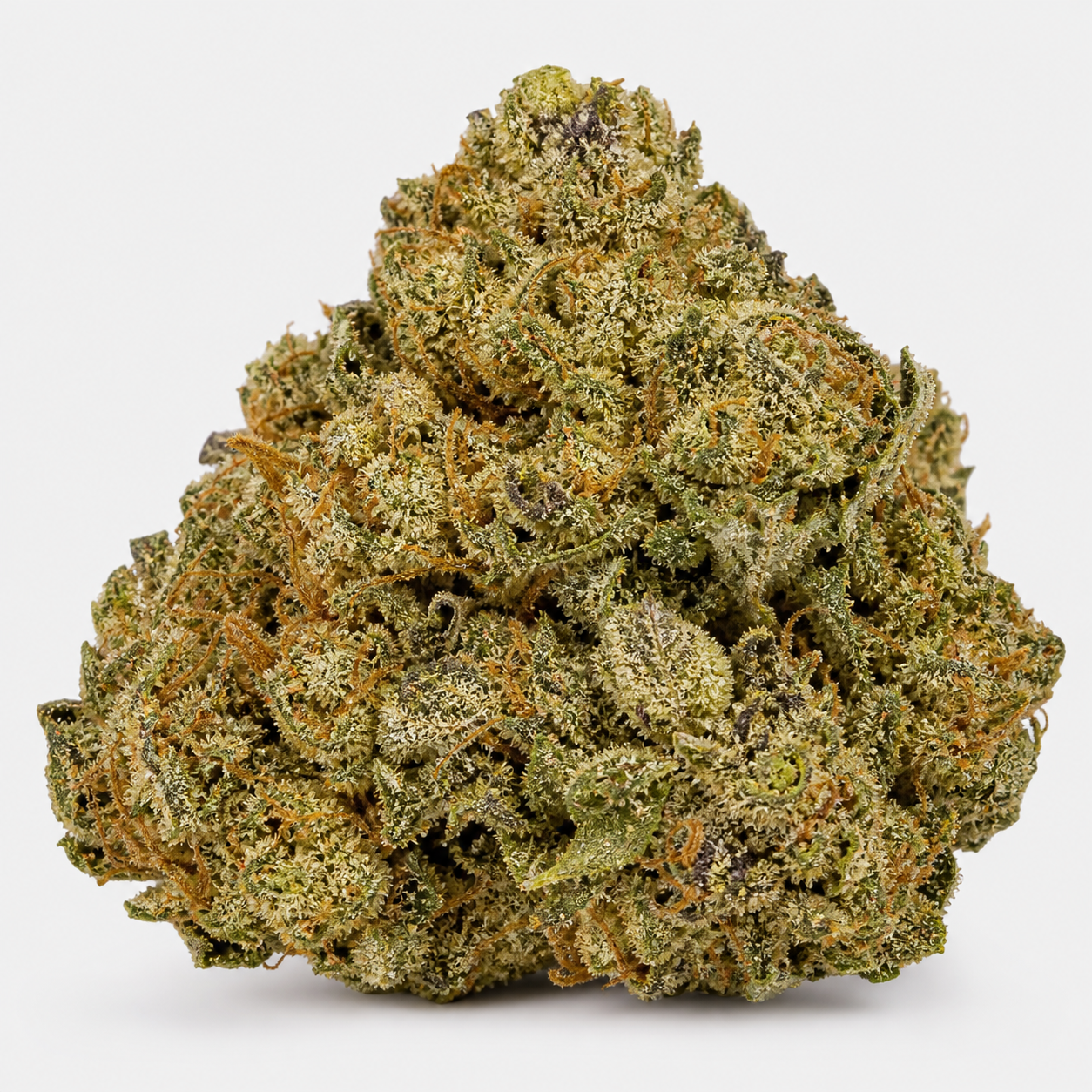 Cogollo de Corkscrew Auto de Royal Queen Seeds, ancho y compacto, con tonos verdes, pistilos anaranjados y abundantes tricomas claros.