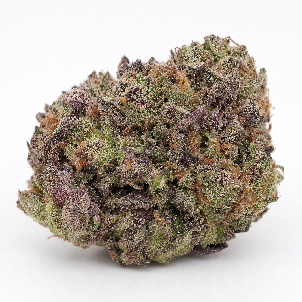 Cogollo de Cream Caramel Auto de Sweet Seeds sobre fondo blanco, con zonas verdes y moradas, pistilos naranjas y abundantes tricomas.