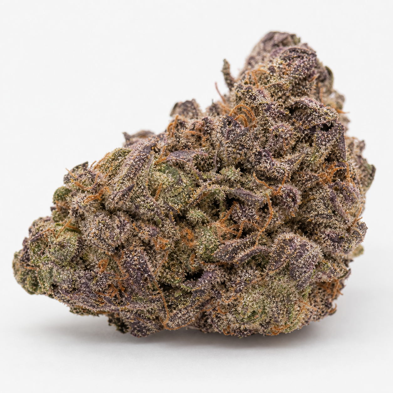 Cogollo de Critical Impact Feminizada con hojas moradas y verdes, filamentos anaranjados y abundantes puntos blanquecinos sobre fondo blanco.